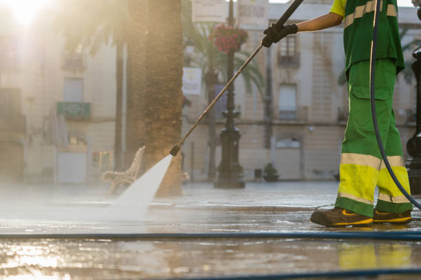 Pre-Holiday Cleaning in Elm City, NC